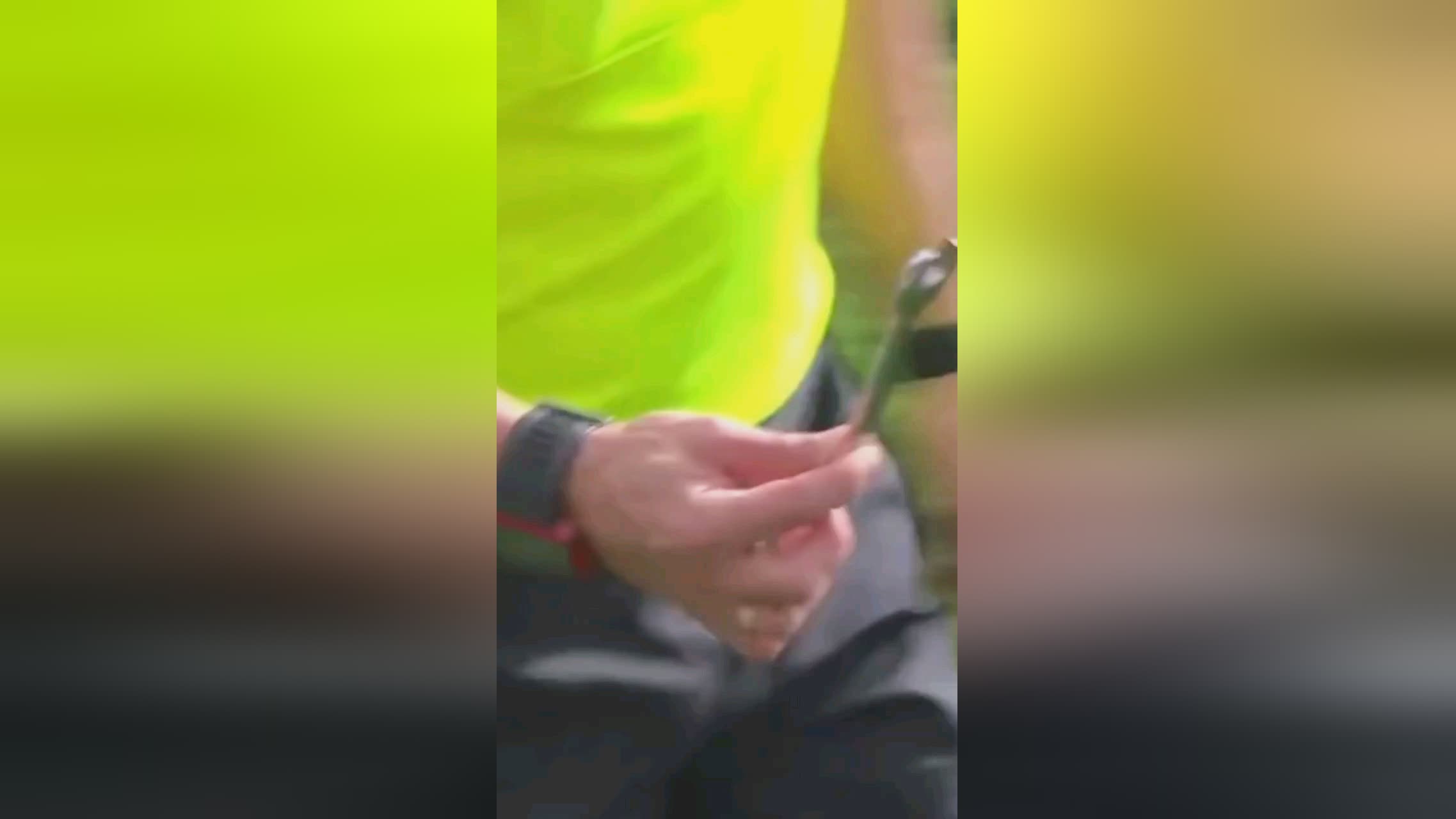 界中适
